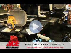 ACE Hardware Waverly